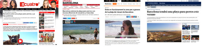 noticias-playa-perros