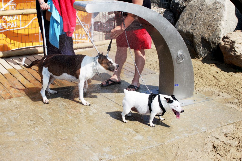La ducha con los perros de los rociadores vara en Barcelona 