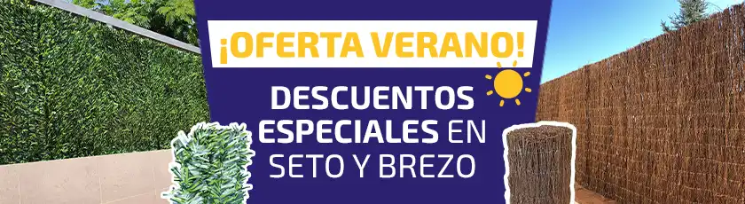 oferta especial otoño