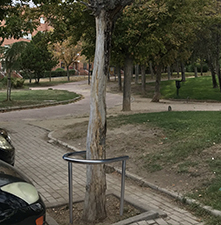 protector de arboles copey instalado