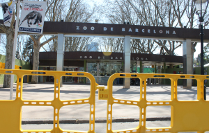 valla plastico de 2m amarilla