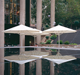 Parasoles